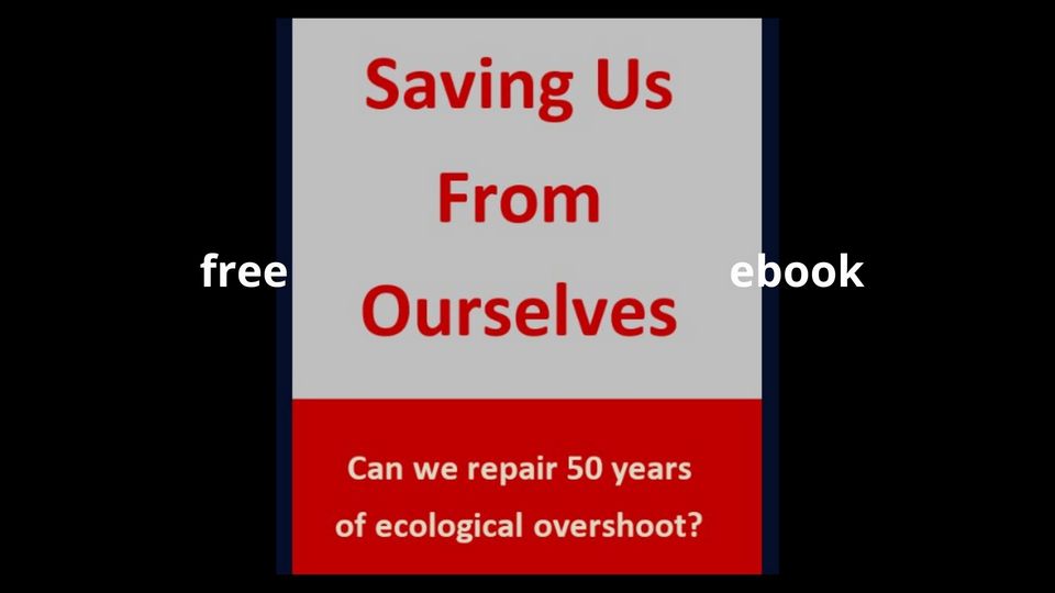 Saving Us From Ourselves – Download