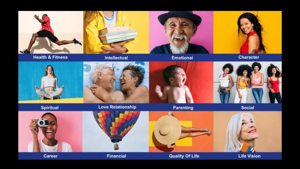 Lifebook Intra-spect Assessment – Website