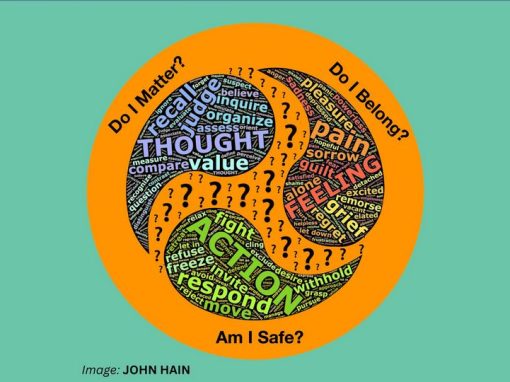 Does your Sense of Belonging increase your Confidence to Challenge?